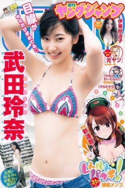 黑三角电视剧全集
